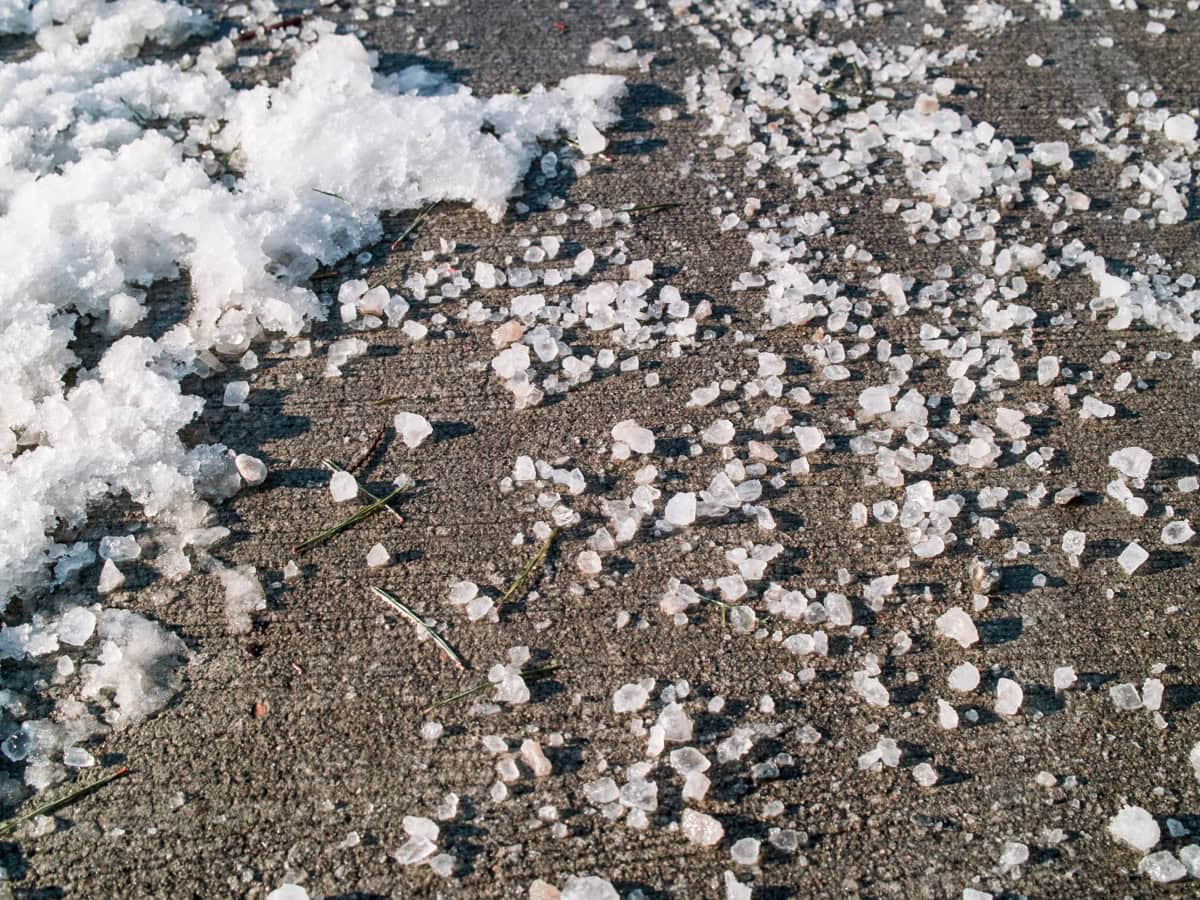 Liquid ice melt protecting a residential concrete walkway and steps